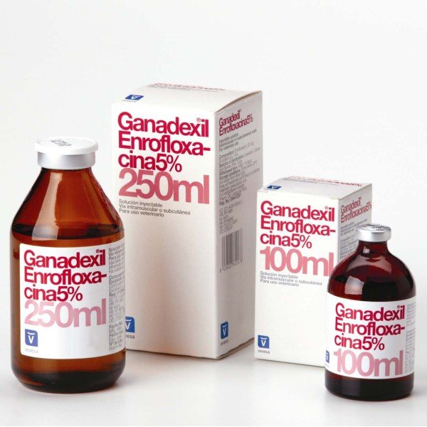 GANADEXIL ENROFLOXACINA 5% 250ML