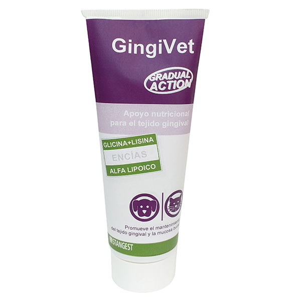 GINGIVET PASTA 100 g