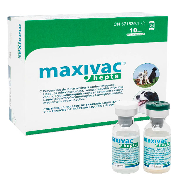 MAXIVAC HEPTA 10 DOSIS