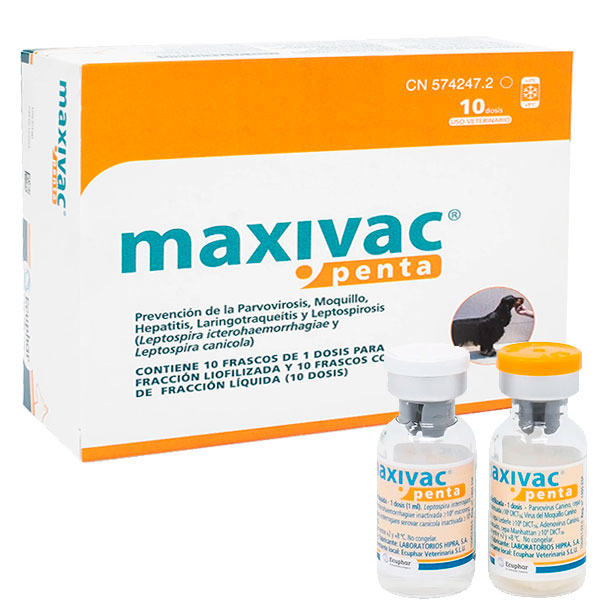 MAXIVAC PENTA 10 DOSIS