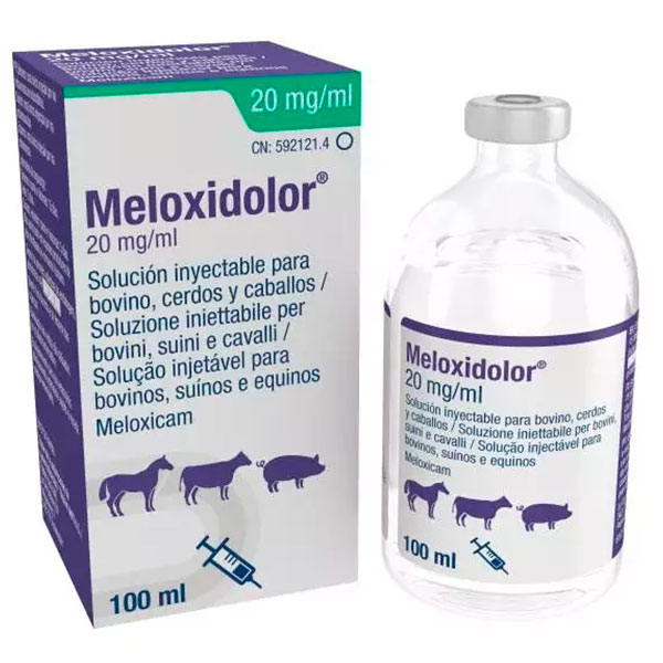 MELOXIDOLOR 20MG 100 ML