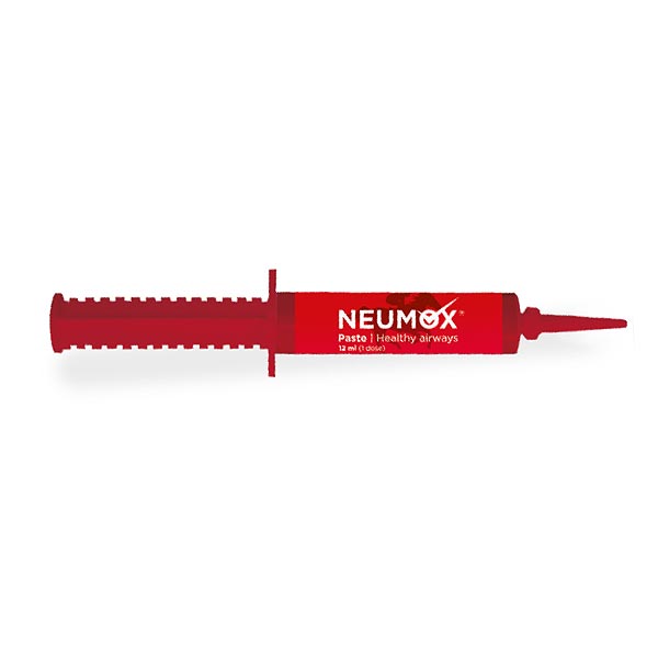 NEUMOX 12 ml - Jeringa Pasta Oral (1 dosis)