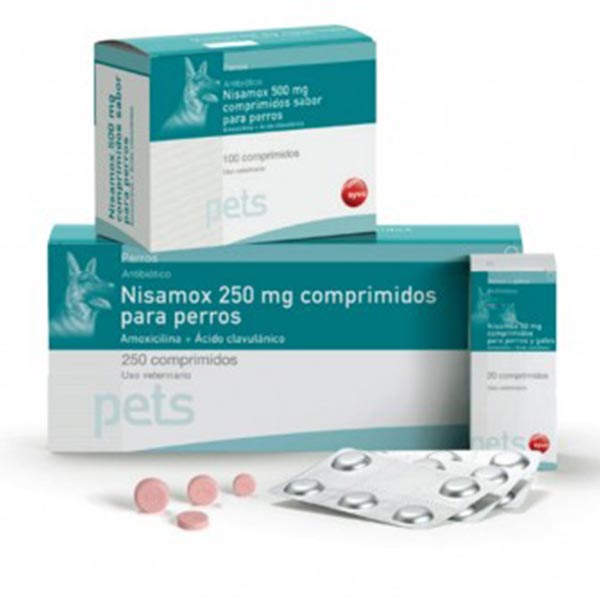 NISAMOX 250 MG 250 COMP.