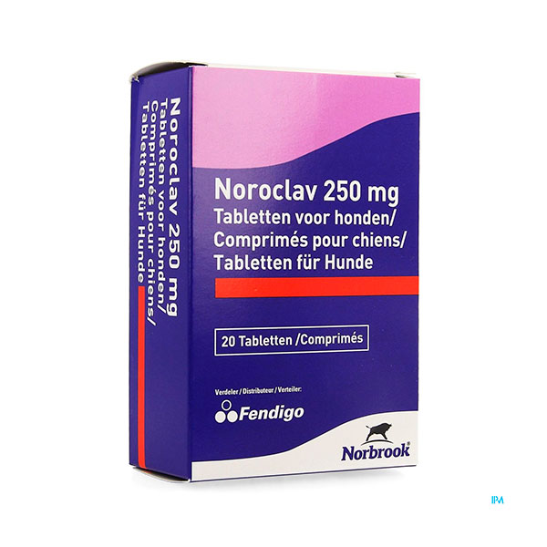 NOROCLAV 250mg 20comp.