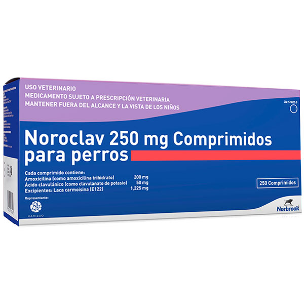 NOROCLAV 250mg 250comp.
