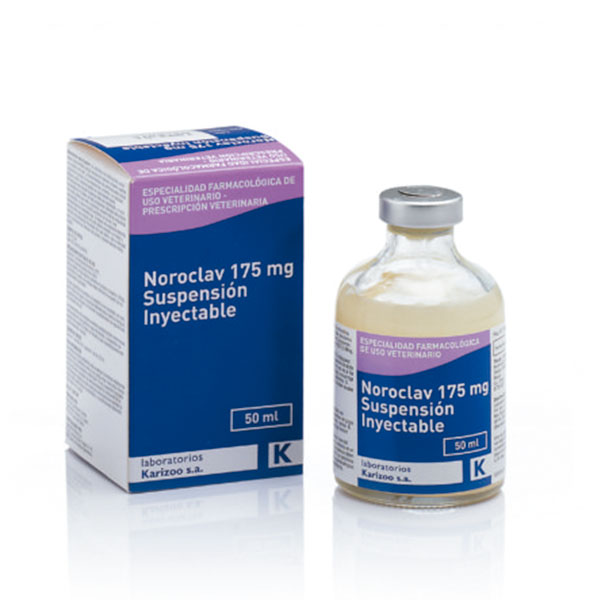 NOROCLAV INY. 50ML