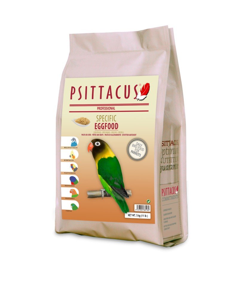 PASTA DE CRIA (Eggfood) 5KG