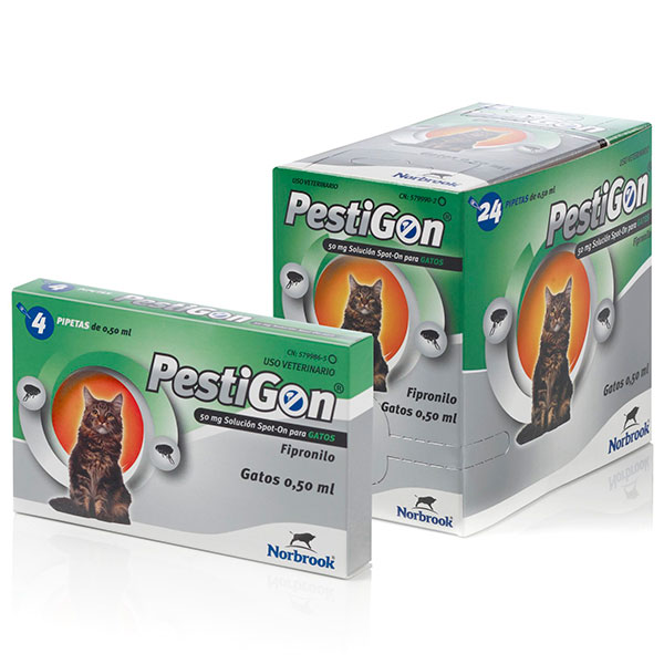 PESTIGON GATO 24pip