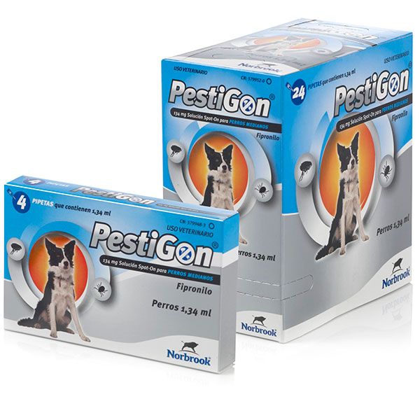 PESTIGON PERROS 24pip 1.34 ML 10-20kg