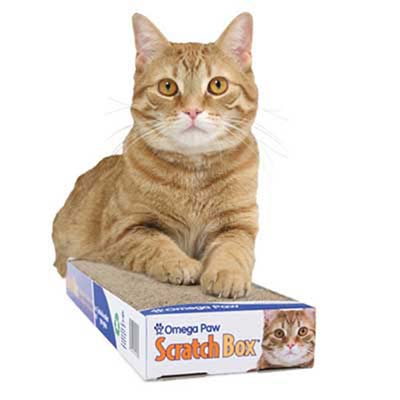RASCADOR CARTON PEQUEÑO 39,4 x 12,5 x 4,4cm