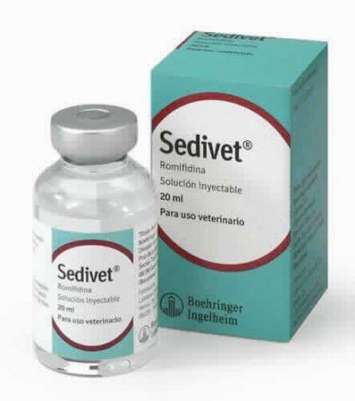 SEDIVET 1% SOL. INY. 20ML