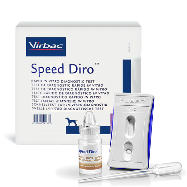 Speed Diro 6 tests