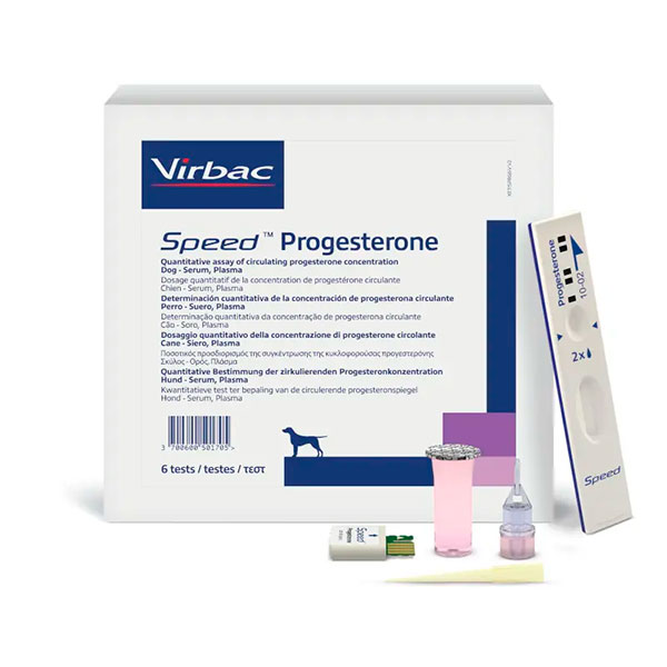 Speed Progesterone 6 Tests