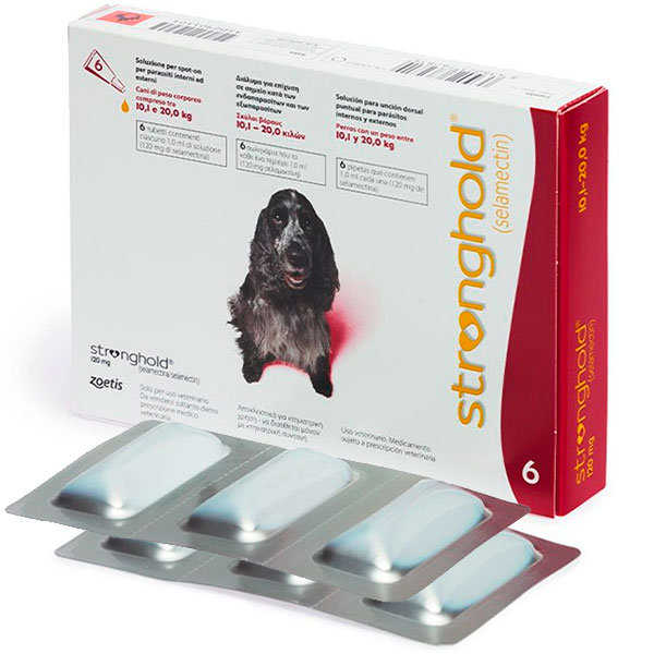 STRONGHOLD 120MG 10-20kg 6PIP