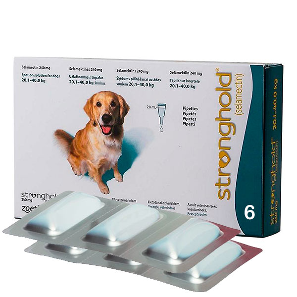 STRONGHOLD 240MG 20-40kg 6PIP