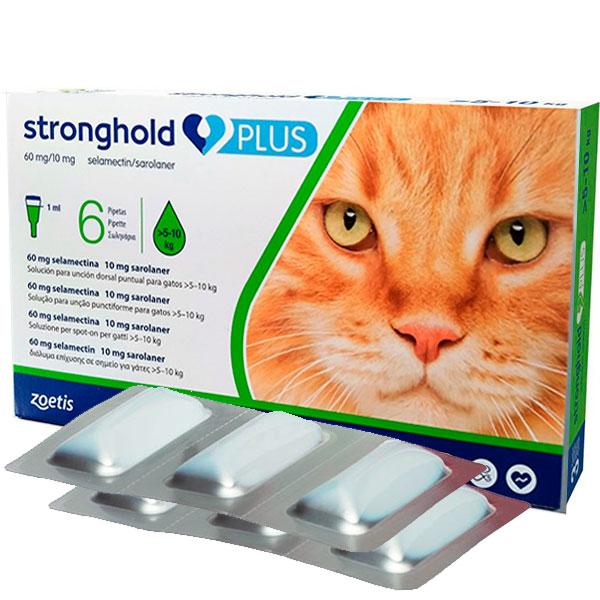 STRONGHOLD PLUS 60/10MG GATO 5-10KG 6PIP