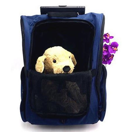 TROLLEY MOCHILA AZUL