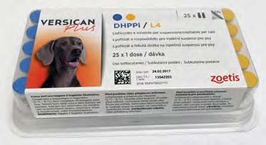VERSICAN PLUS DHPPi/L4 25 DOSIS