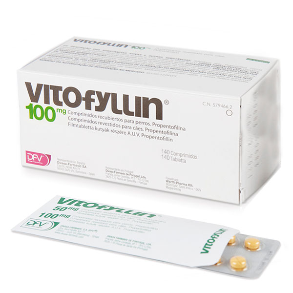 VITOFYLLIN 100 mg 140 comp