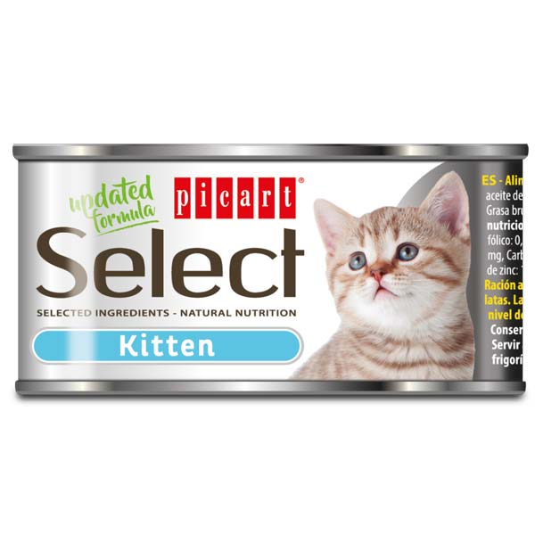 WET SELECT CAT KITTEN 24x95GR
