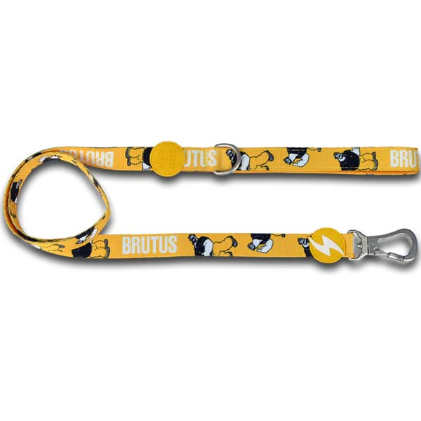 BRUTUS LEASH SMALL