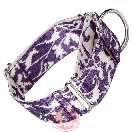 COLLAR EDUC. ALG-NYL JACQUARD MDO