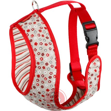 ARNES ACC PLUS PADUA