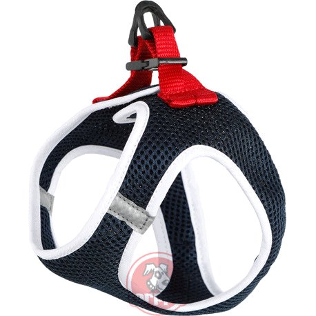 ARNES ZZIP AZM/BLC/RJ