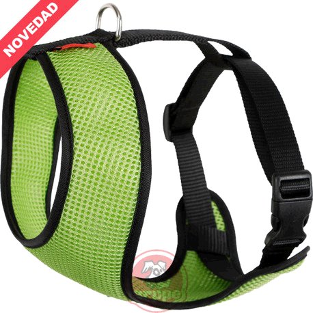 ARNES ACC PLUS PST/AZM