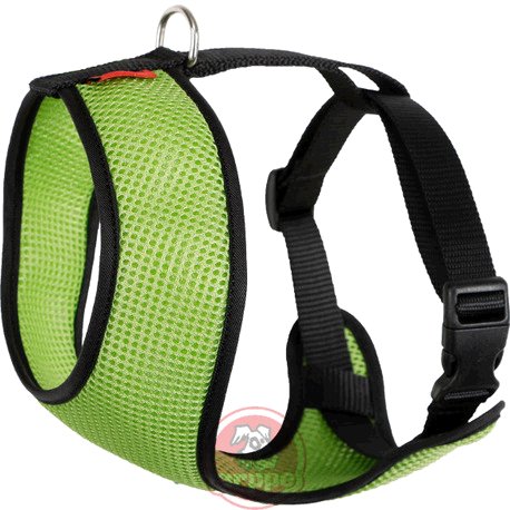 ARNES ACC PLUS PST/AZM