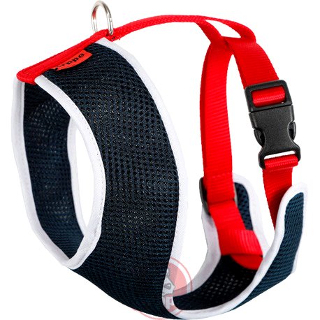 ARNES ACC PLUS AZM/BLC/RJ