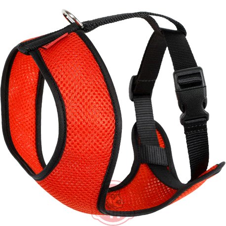 ARNES ACC PLUS NJA/AZM