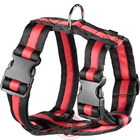 ARNES NYLON ACOLCHADO MACQUEEN NG/RJ