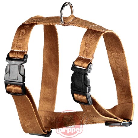 ARNES NYLON SPORT CAR