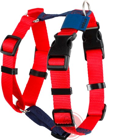 ARNES NYLON COLOR BLOCK RJ/AZM