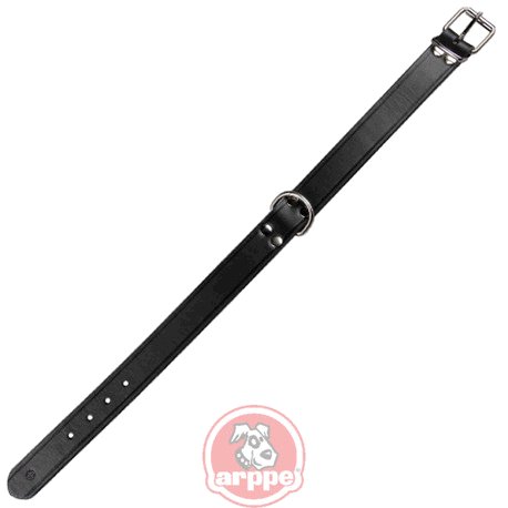 COLLAR CUERO ENGRASADO NG