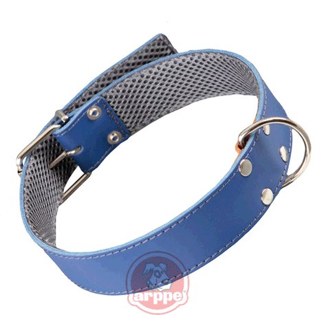 COLLAR CUERO FORRO 3D AMAZONE AZ/GR