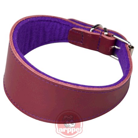 COLLAR GALGO CUERO SUPERFELT GRA/MDO