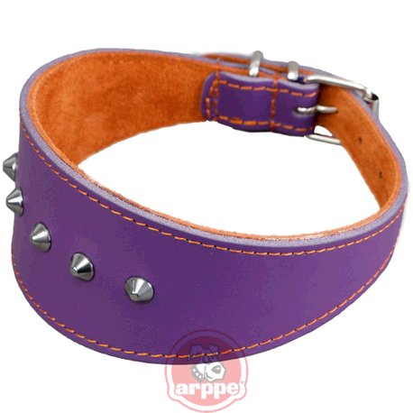 COLLAR GALGO FORNIT.CUERO PIEL MDO/CAR
