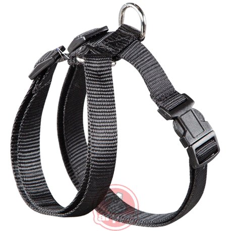 PETRAL NYLON BASIC NG