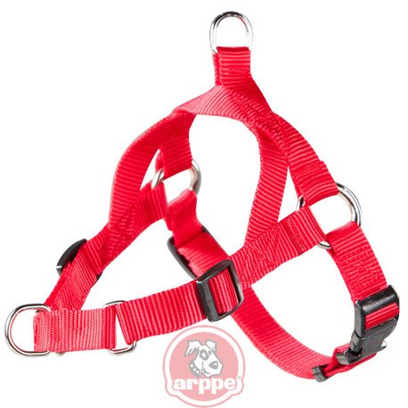 ARNES EDUCATIVO 2 USOS RJ