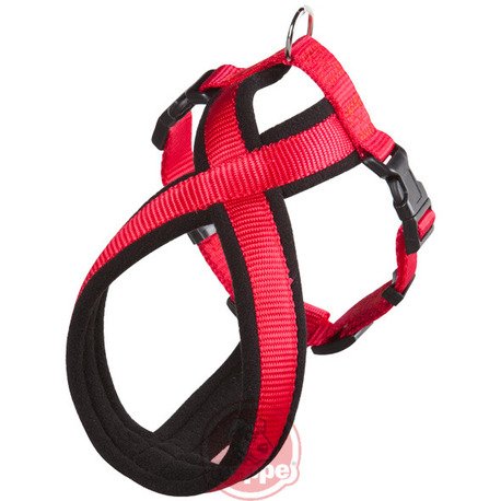 ARNES SPORT CAN & CROSS RJ