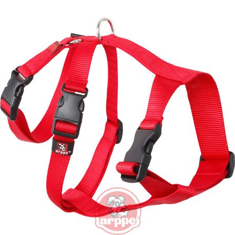 ARNES NYLON BASIC TRIPLE ESPECIAL GALGOS Y PODENCOS RJ