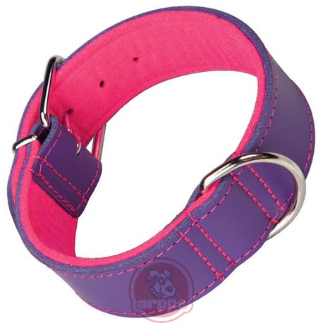 COLLAR CUERO SUPERFELT BEACH PUR/FUC