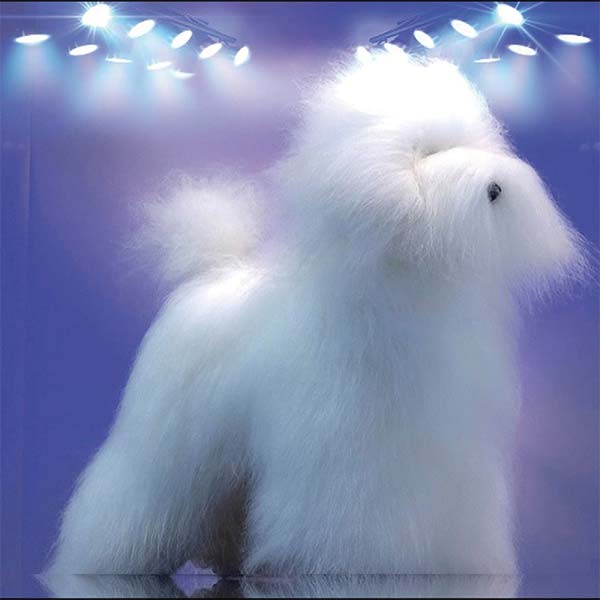 ARTERO VIRTUAL DOG CANICHE