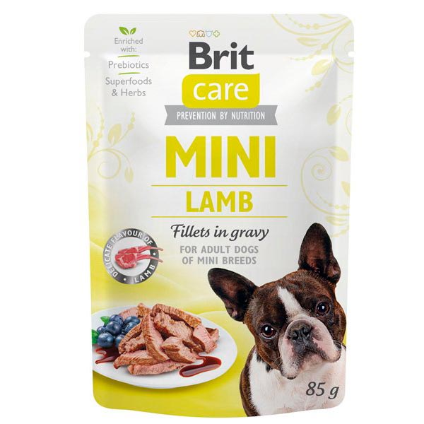 Wet Brit Care Mini GF Cordero (24x85gr)