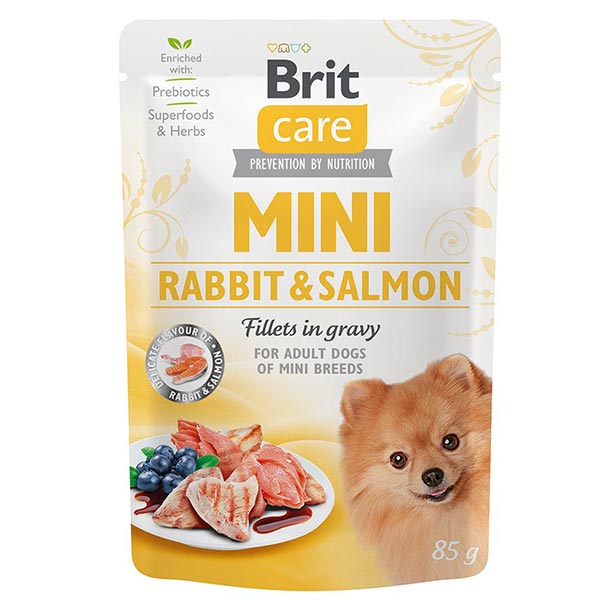Wet Brit Care Mini GF con conejo y salmón (24x85gr)