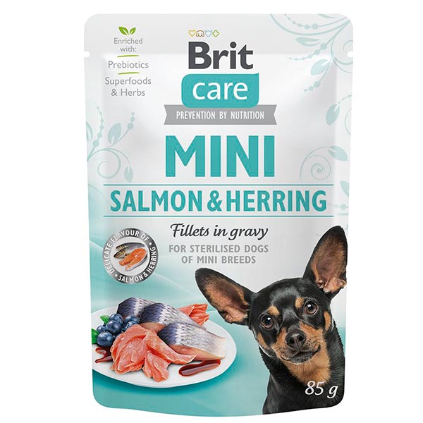 Wet Brit Care Mini GF Salmon y Arenque (24x85gr)