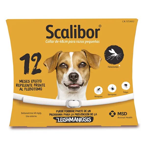 SCALIBOR 48CM