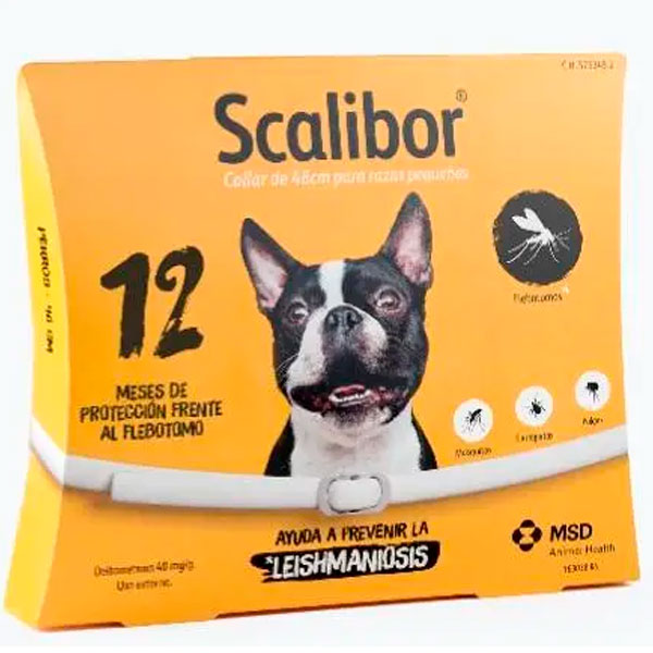SCALIBOR 48CM